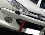 ماکت چراغشور پژو 206RC