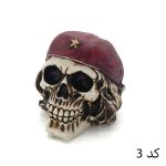 اسکلت روداشبردی