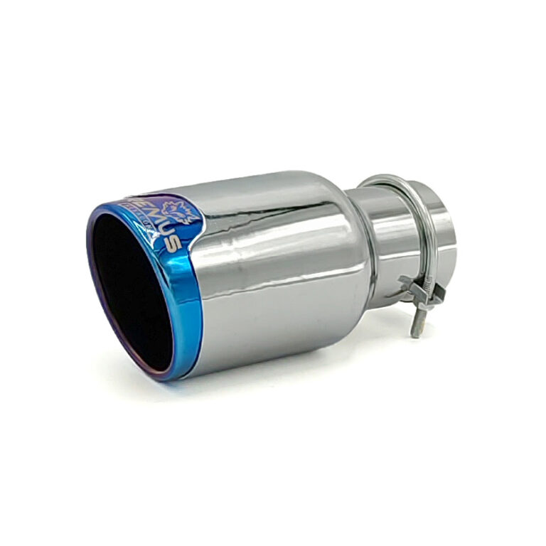 سر اگزوز ریموس