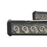 دیلایت پلیسی فدرال